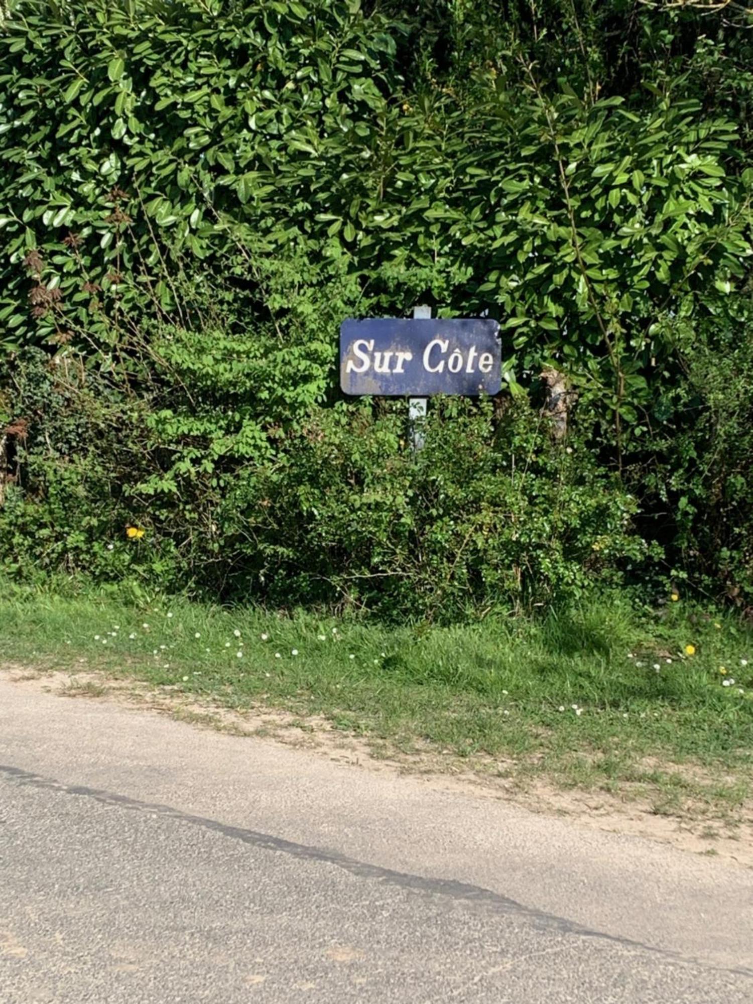 Villette-sur-Ain Sur Cote En Dombesヴィラ エクステリア 写真